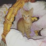 Rusty Rob Andrews - @rustyrobandrews - Instagram