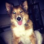 Rusty - @rusty_andrews - Instagram