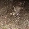Rusty Barber - @rusty.barber8 - TikTok