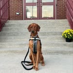 Rusty Bates - @theredcane9 - Instagram