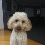 Rusty Benson - @rusty_bruce_benson - Instagram