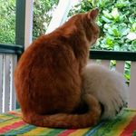 toby_benson_rusty_chad - @toby_benson_rusty - Instagram
