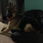 Rusty Root Howard-Berry - @trustyrusty1 - Instagram