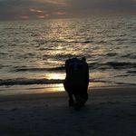 Rusty Burkepile - @rustyburkepile - Instagram