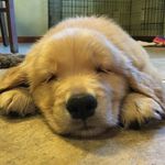 Rusty Burnett - @rusty.burnett - Instagram