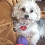 Rusty Burton - @1234rburton - Instagram