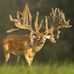Rusty Burton - Facebook