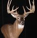 Rusty Burton - Facebook