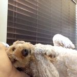 Rusty_campbell_11 - @naca3853 - Instagram