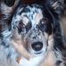 Rusty Covey - Facebook