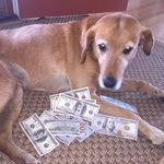 @rusty.copeland - Instagram