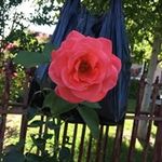 Christopher "Rusty" Coy - @christopher.coy - Instagram