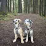 Rusty Penny Coyne - @rustypennycoyne06 - Instagram