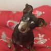 user3157319346476 - @rustycrumble - TikTok