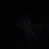 Rusty adanes - @rusty.adanes - TikTok