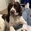 RustyDukeSpringer - @rustydukespringer - TikTok