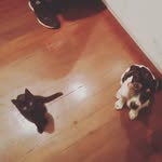 Rusty and cindy Duncan - @rusty_and_cindy - Instagram