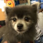 Rusty Duncan - @rootintootinrusty - Instagram