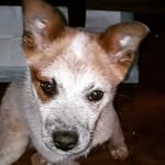 Rusty Duran - @rusty.duran.2022 - Instagram
