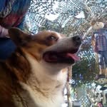 Rusty Durant - @rustydurant - Instagram