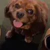 rustyfarrell - @rustyfarrell - TikTok