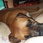 Rusty Franklin - @rusty.franklin.988 - Instagram