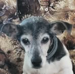 Rusty Garner - Facebook