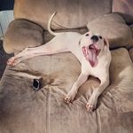 Rusty Garner - @rusty.one.88 - Instagram