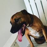 Rusty.gordon - @rusty_gordon16 - Instagram