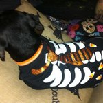 Rusty Gremillion - @rustygremillion - Instagram