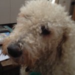 @howell.rusty - Instagram