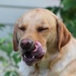 Rusty Huff - @rustyjhuff - Instagram