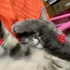 🤍🤍🌊🌊🎢🎢🌆🌆💐💐🫶🏽🫶🏽 - @rusty.girl.named.hunter - TikTok