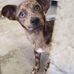Rusti Hurd - Facebook