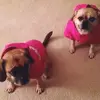 rustyhurd106 - @rustyhurd106 - TikTok