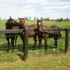 Rusty Johnston - @rusty.johnston6 - TikTok