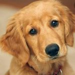 Rusty King - @thankthelordjesus3 - Instagram