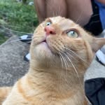 Rusty Lawson - @thicc_rusty - Instagram