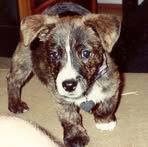 Rusty Lawson - Facebook