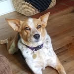 Maggie - @crusty.lemons - Instagram