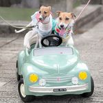 Rusty&May - @rusty__may - Instagram