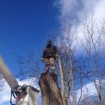 Rusty Mayo - @mayorusty - Instagram