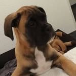 Rusty McCaine - @rustymccaine - Instagram
