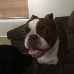 Rusty Michael - @rustydaboston - Instagram