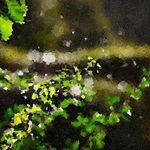 Rusty Mitchell - @rustymitchellb12a5 - Instagram