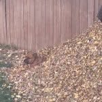 Rusty Mobley - @rmobley232 - Instagram