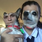 Rusty Moss - @rust_dog - Instagram