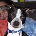 Rusty Ruff Ortiz - @rustyruffortiz - Instagram