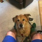 Rusty Buckelton - @rustyosborne - Instagram