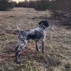 Rusty Osborne - Facebook
